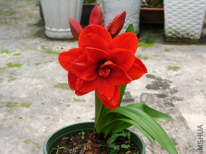 �����ݲ�5 001.JPG
