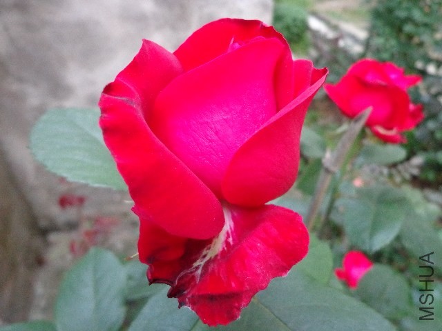 DSC01551.JPG