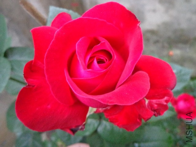 DSC01553.JPG