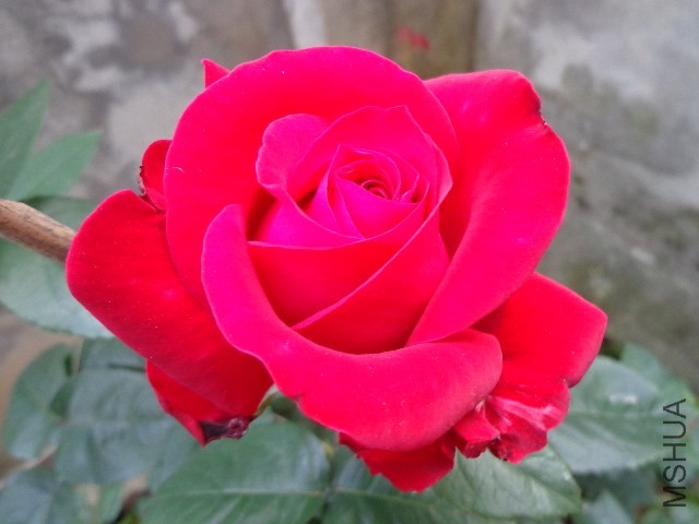 DSC01571.JPG