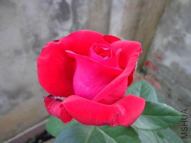DSC01572.JPG