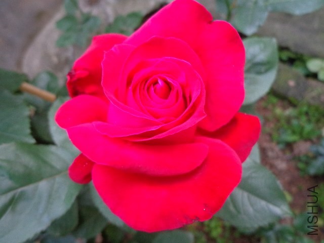 DSC01573.JPG