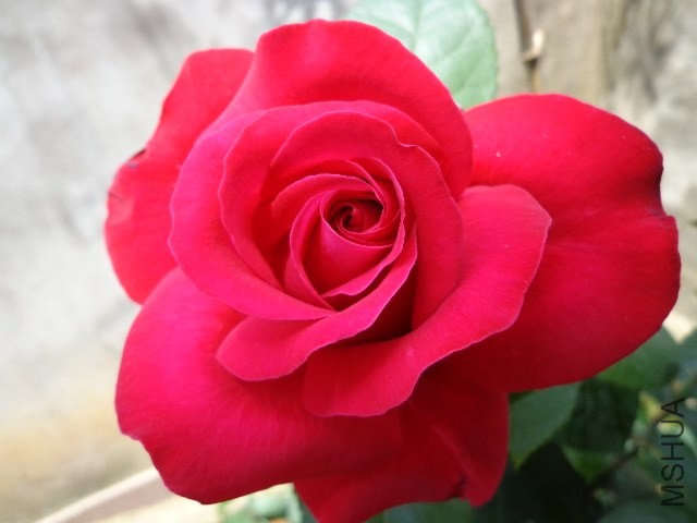 DSC01614.JPG