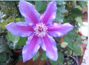 QQ��ͼ20140505121017.png
