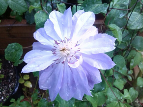 QQ��ͼ20140505120931.png