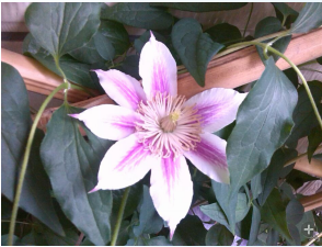 QQ��ͼ20140505120954.png