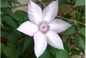 QQ��ͼ20140505121007.png