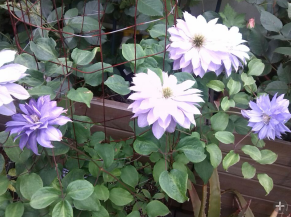 QQ��ͼ20140505121114.png