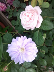 QQ��ͼ20140505121030.png
