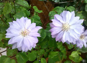 QQ��ͼ20140505121042.png