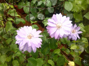 QQ��ͼ20140505121208.png