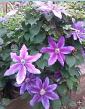 QQ��ͼ20140505121125.png