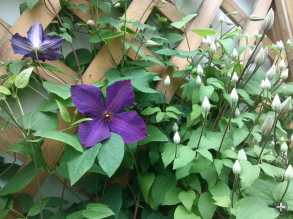 QQ��ͼ20140505121134.png