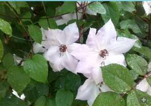 QQ��ͼ20140505121145.png