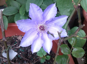 QQ��ͼ20140505121156.png