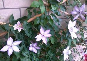 QQ��ͼ20140505121304.png