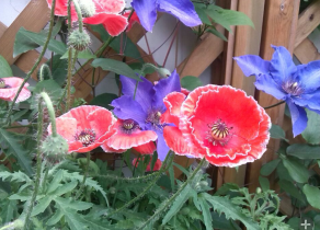 QQ��ͼ20140505121218.png