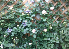 QQ��ͼ20140505121231.png