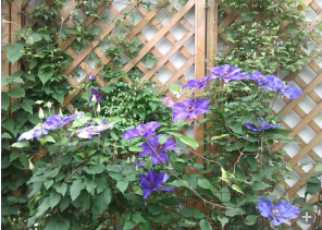 QQ��ͼ20140505121242.png