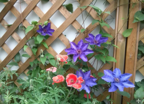 QQ��ͼ20140505121253.png