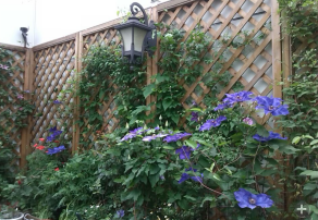 QQ��ͼ20140505121314.png