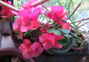 QQ��ͼ20140505121324.png