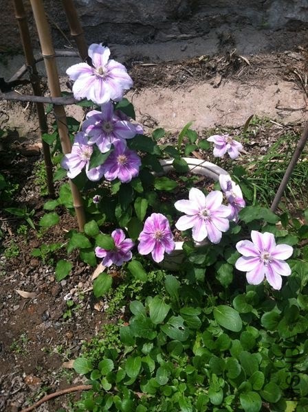 �ϼҿ��� 219_����.jpg