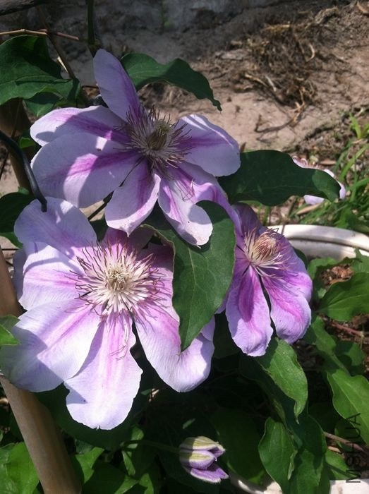 �ϼҿ��� 221_����.jpg