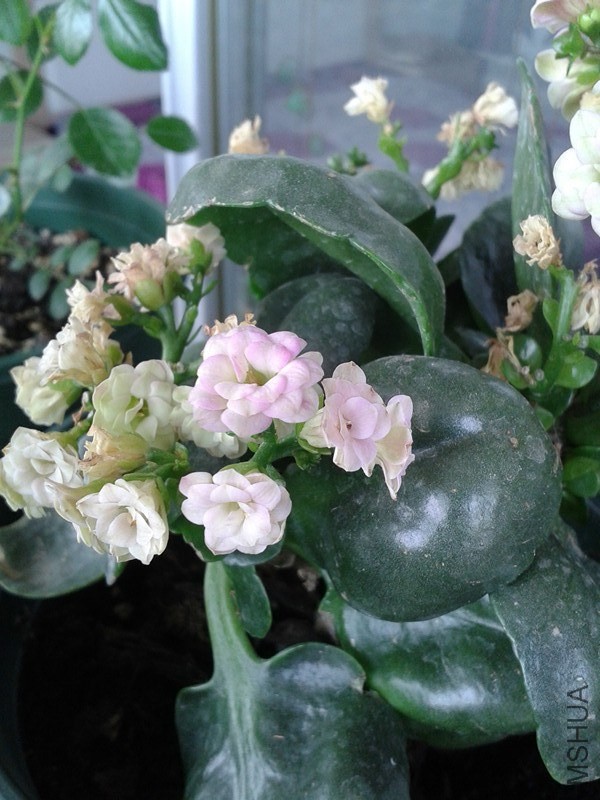 20140505_135200_����.jpg