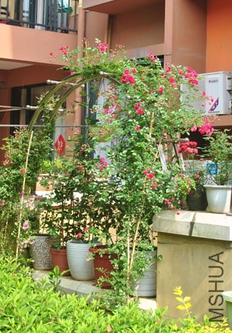 2014��016.jpg