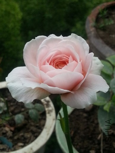 20140505_170106_��С��С.jpg