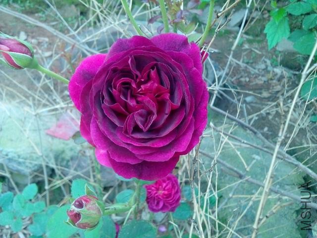 ͦ��ģ�Ҳ�ܻῪ�������Ҿ�������~