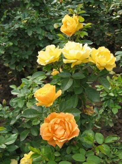 20120314112916001.jpg