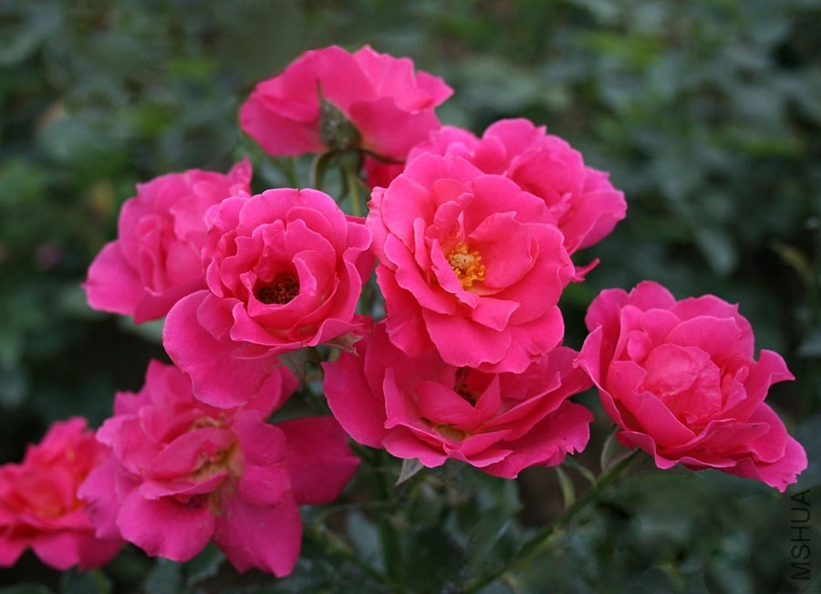 20130614100022.jpg