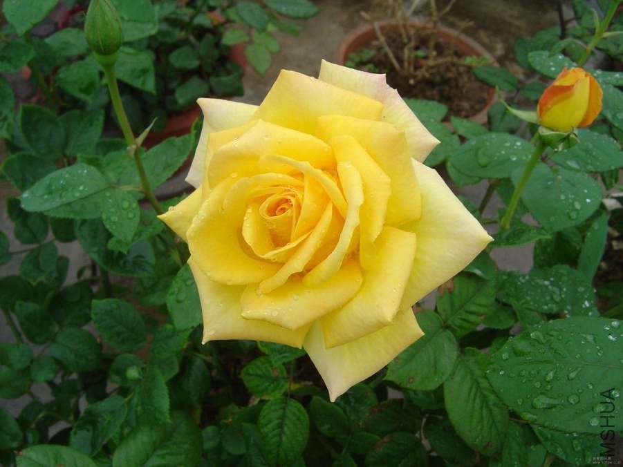 2012082406223006.jpg