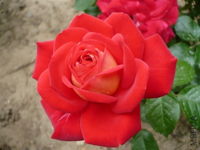 2011116135540325.jpg