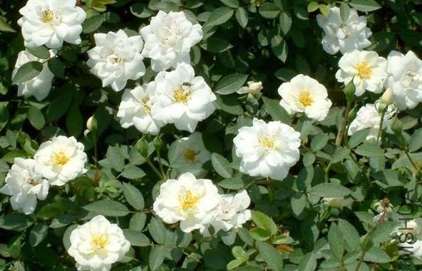 20130719042200.jpg