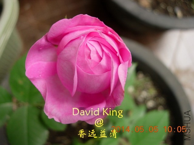 lgDSCN0449_resize.JPG