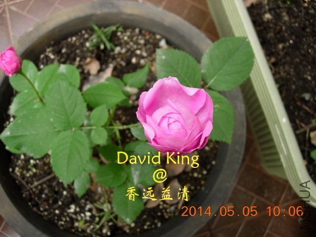 lgDSCN0457_resize.JPG