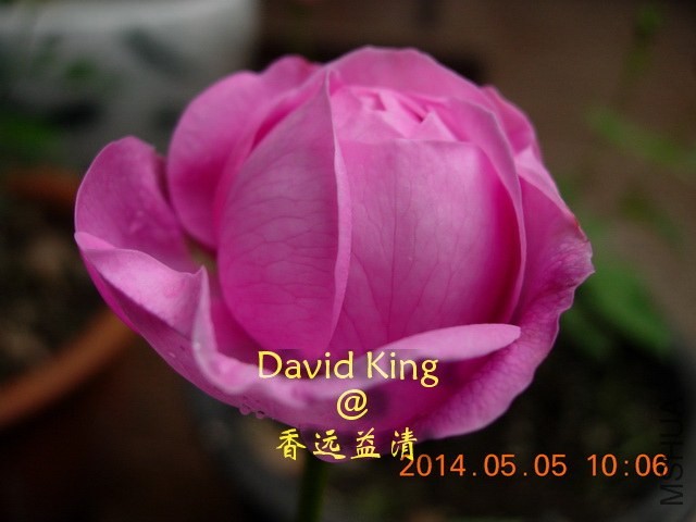 lgDSCN0461_resize.JPG