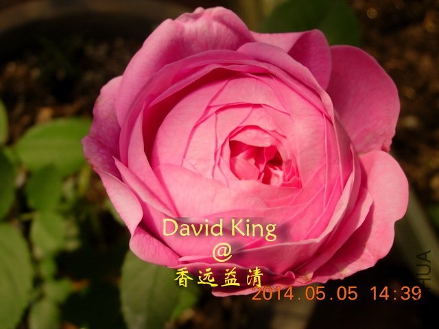 lgDSCN0551_resize.JPG