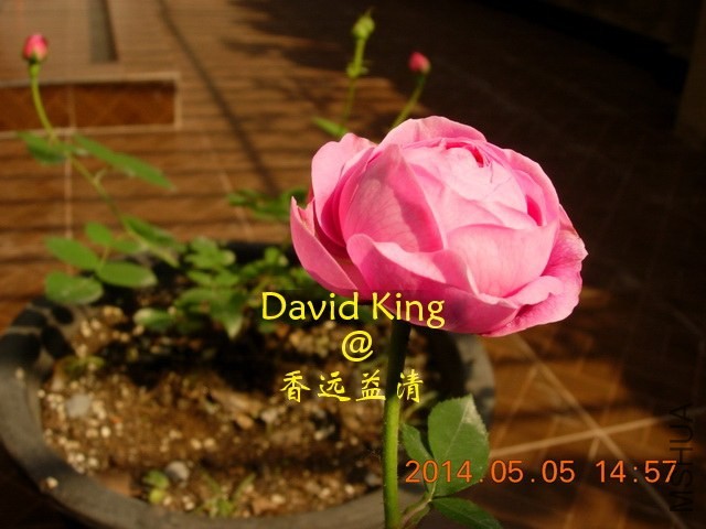lgDSCN0626_resize.JPG