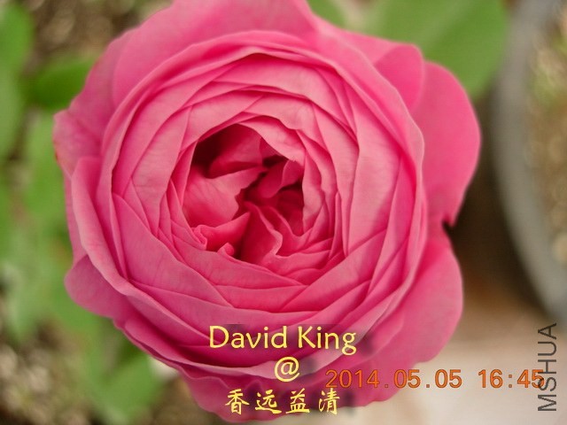 lgDSCN0651_resize.JPG