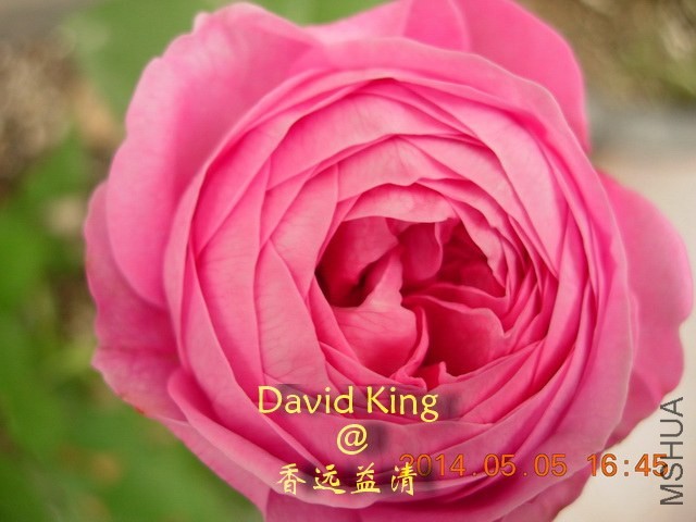 lgDSCN0656_resize.JPG