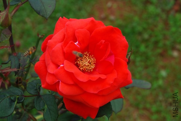 12-110523031T4.jpg