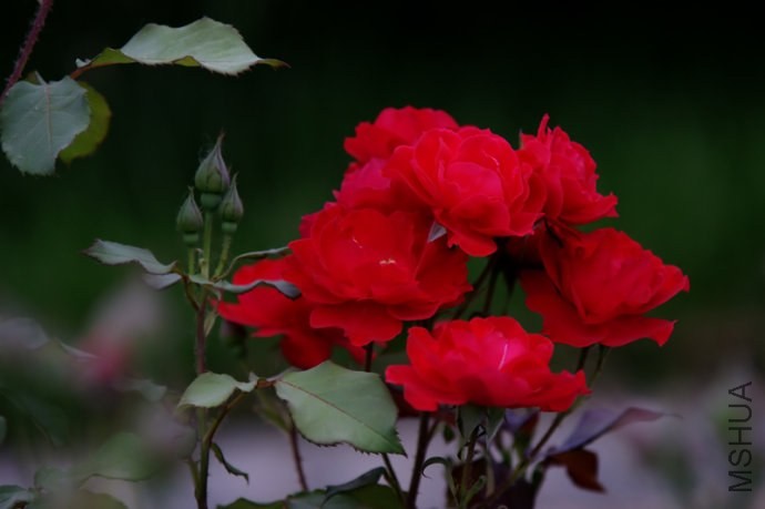 6216703ftf7db00d954eb&amp;690.jpg