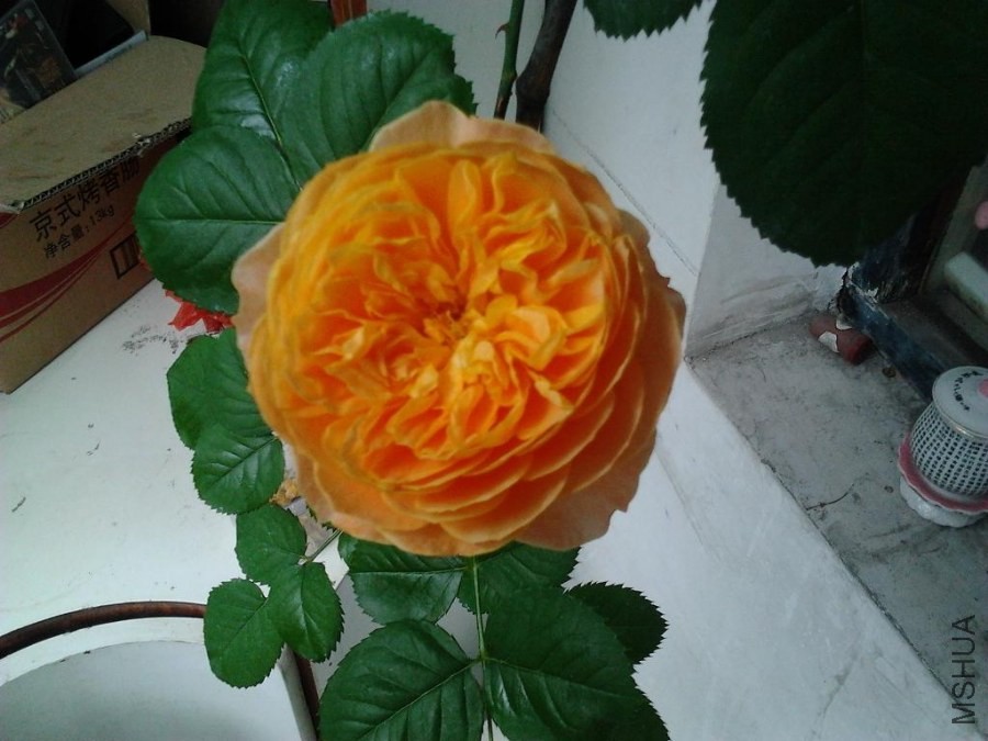 2014-04-02 15.55.54.jpg