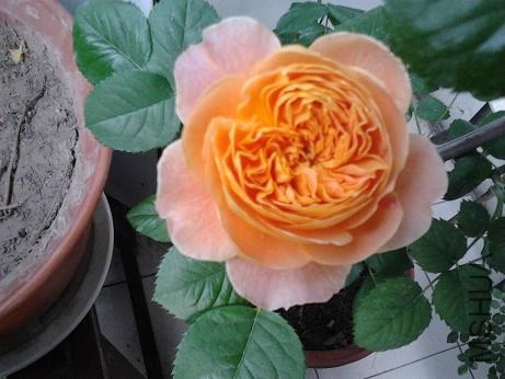 2014-04-03 11.29.23.jpg