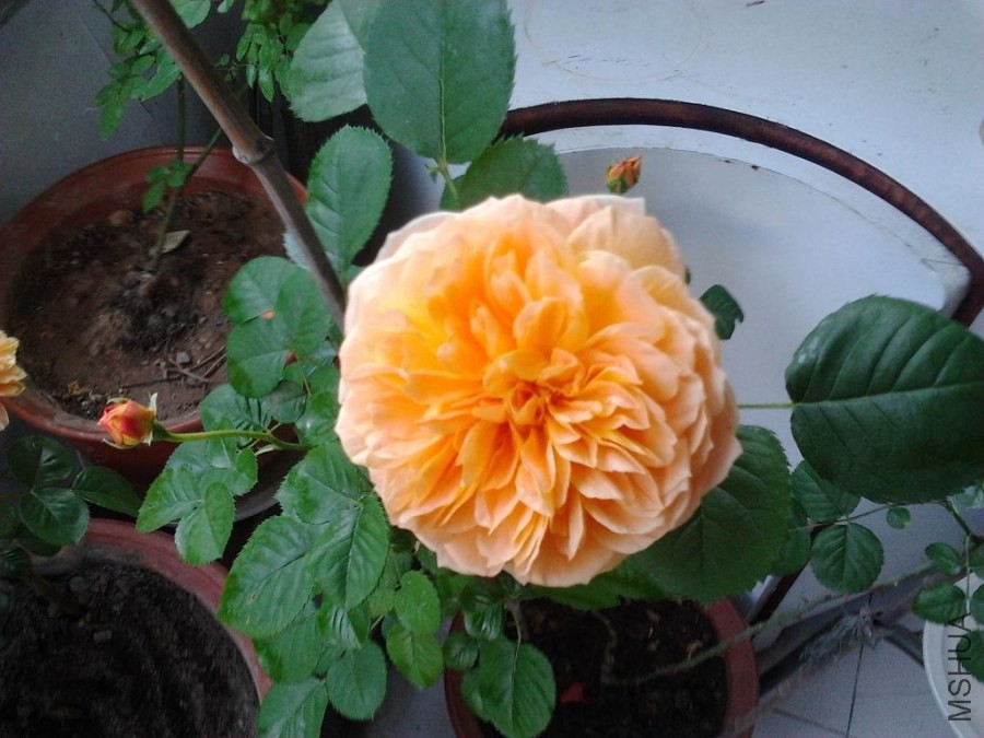 2014-03-30 20.21.02.jpg