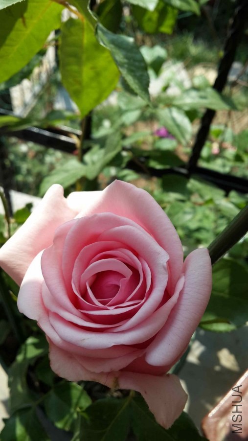 20140505_140021.jpg